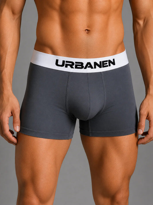 Men's Polyamide Elastane StretchMax Performance Trunk with QuickDry Technology - Slate Grey